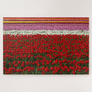 Lente Tulip Super Challenge Legpuzzel