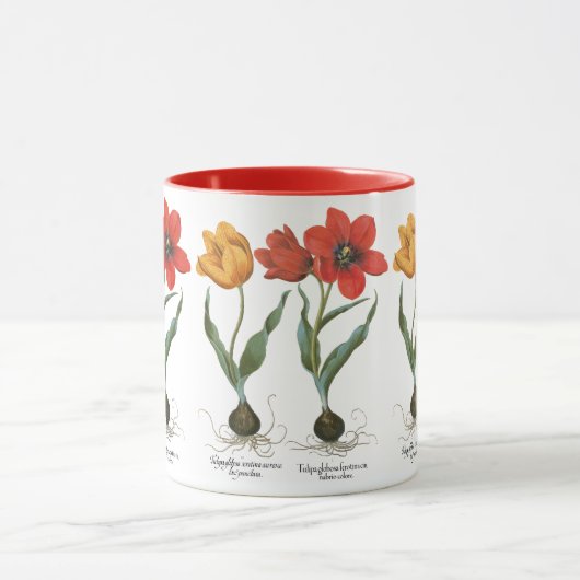 Lente Tulp Bloemen door Basilius Besler Mok (Midden)