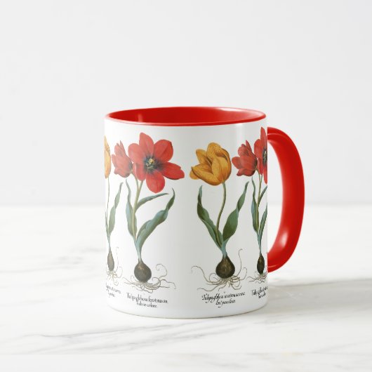 Lente Tulp Bloemen door Basilius Besler Mok (Voorkant rechts)