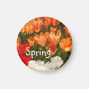 Lente Tulp Bloemen magneten Oranje Tulpen