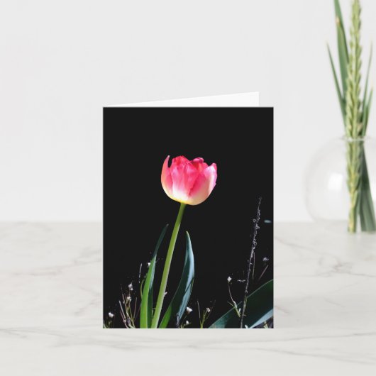 Lente tulp briefkaart (Voorkant)