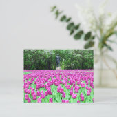 Lente Tulpen in het Briefkaart van de Engelse tuin (Staand voorkant)