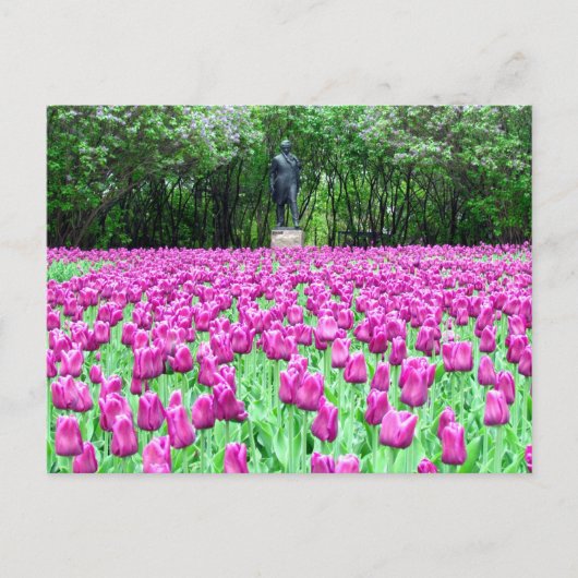 Lente Tulpen in het Briefkaart van de Engelse tuin (Voorkant)