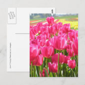 Lente Tulpen in Oregon Briefkaart (Voorkant / Achterkant)