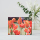 Lente Tulps 'Denking of you!' Briefkaart (Staand voorkant)