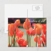 Lente Tulps 'Denking of you!' Briefkaart (Voorkant / Achterkant)