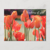 Lente Tulps 'Denking of you!' Briefkaart (Voorkant)