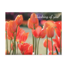 Lente Tulps 'Denking of you!' Briefkaart