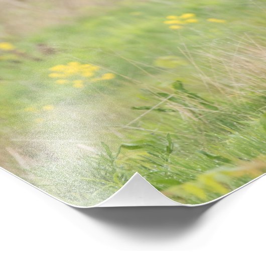 Lente Turkse afdruk - 2 (Hoek)