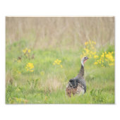 Lente Turkse afdruk - 2 (Voorkant)