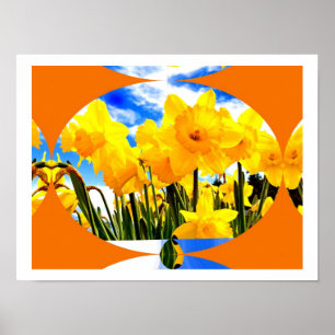Lente-uitbarsting Poster