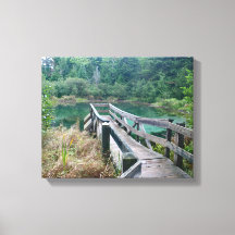 Lente van de Unie - Wilde bekken in het Porcupine