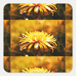 Lente van de Wijnstokken van de Bloemen van de Vierkante Sticker