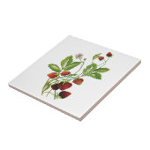 Lente Verse Aardbeien Borduurwerk Tegeltje (Zijkant)