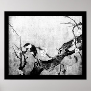 LENTE VOGEL EN BLOEMEN BOOM Zwart Wit Grijs Poster