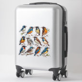 Lente Vogel Illustratie Sticker Pack 🐦 (Koffer)