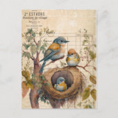 Lente Vogels Vintage Ephemera Briefkaart (Voorkant)