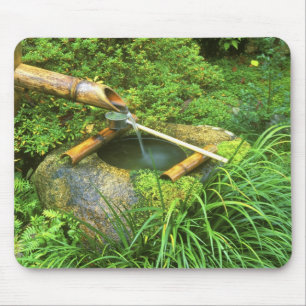 Lente voor Theeceremonie, Sanzen-in Tempel, Muismat