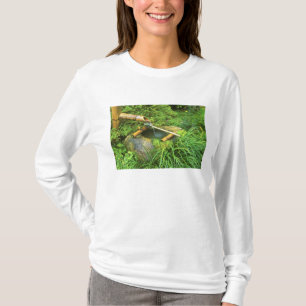 Lente voor Theeceremonie, Sanzen-in Tempel, T-shirt