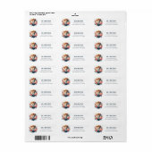 Lente Waterverf Leeuw Retouradres Etiket (Full Sheet)