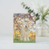 Lente - Wheaten Terrier 7 Briefkaart (Staand voorkant)