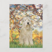 Lente - Wheaten Terrier 7 Briefkaart (Voorkant)