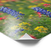 Lente Wildbloemen Foto afdrukken (Hoek)