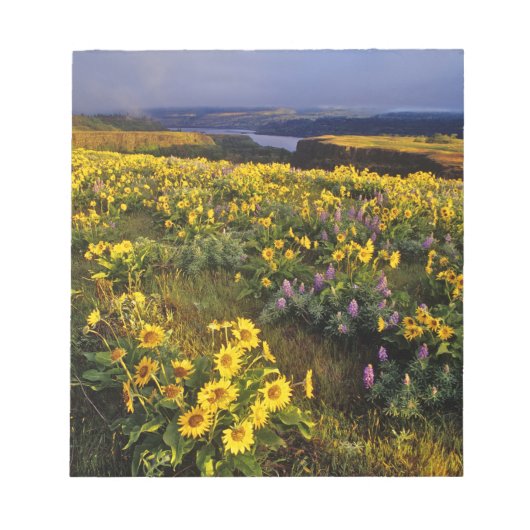 Lente wildbloemen in overvloed bij de Tom Notitieblok (Voorkant)