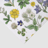 Lente Wilde bloem Geel Paars Floral Buttercup Tissuepapier (Detail)