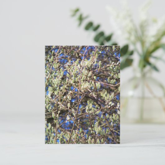 LENTE WILG BRIEFKAART (Staand voorkant)
