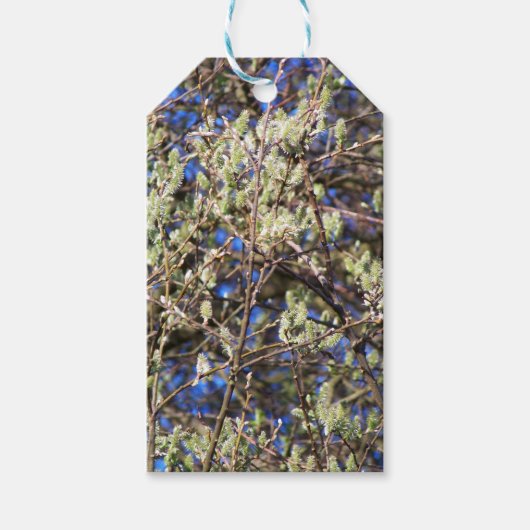 LENTE WILG CADEAULABEL (Voorkant)