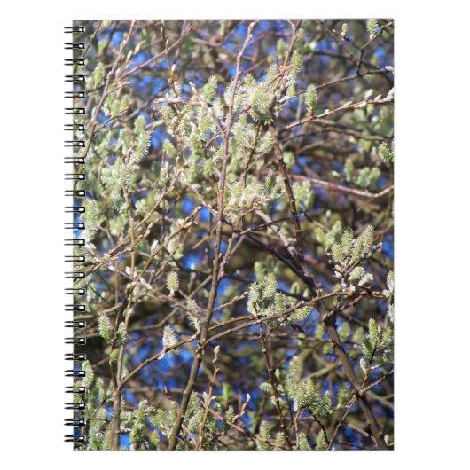 LENTE WILG NOTITIEBOEK (Voorkant)