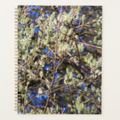 LENTE WILG PLANNER (Voorkant)