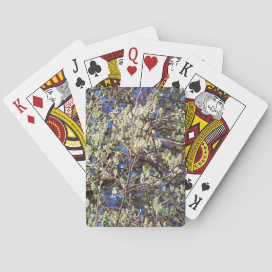 LENTE WILG POKERKAARTEN (Achterkant)