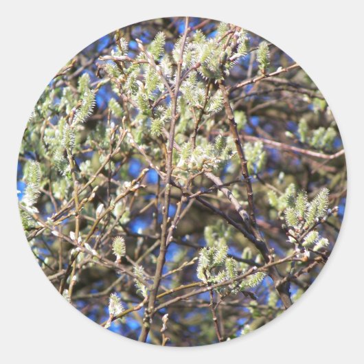 LENTE WILG RONDE STICKER (Voorkant)