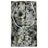 Lente,Witte Bloesem Foto Aangepaste Cadeautas (Achterkant)