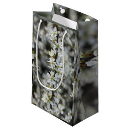 Lente,Witte Bloesem Foto Aangepaste Cadeautas