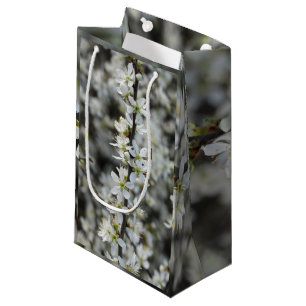 Lente,Witte Bloesem Foto Aangepaste Cadeautas