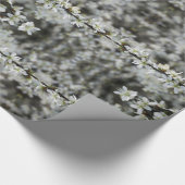 Lente, witte bloesems foto, geschenkpapier cadeaupapier (Hoek)