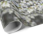 Lente, witte bloesems foto, geschenkpapier cadeaupapier (Rol Hoek)