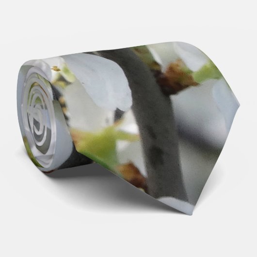 Lente, witte bloesems foto Stropdas (Opgerold)