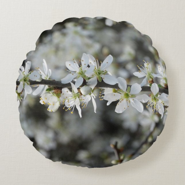 Lente, witte bloesems Fotokussen Rond Kussen (Voorkant)