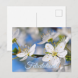 Lente witte groeten briefkaart