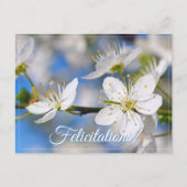 Lente witte groeten briefkaart (Voorkant)
