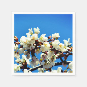 Lente witte kersenbloesems, witte bloeiende boom servet