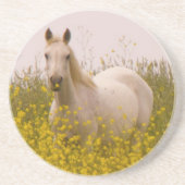 lente zandsteen onderzetter (Voorkant)