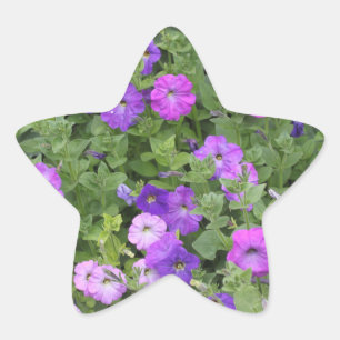 Lente Zomer Bloemig Paarse Petunia Bloemen Decorat Ster Sticker