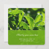 Lente, zomergroene bladeren familiefeest kaart (Achterkant)