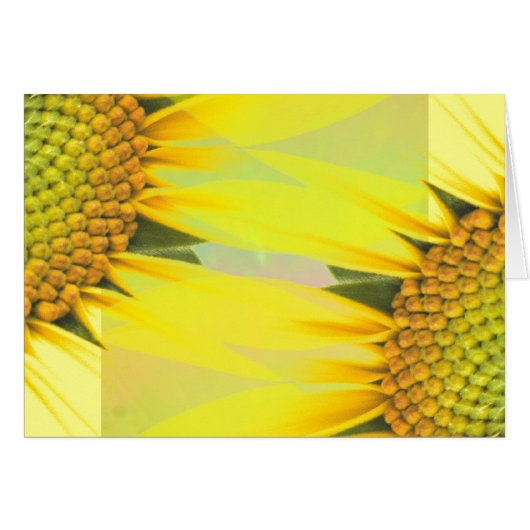 Lente zonnebloemen (Voorkant Horizontaal)