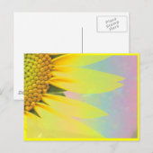Lente zonnebloemen briefkaart (Voorkant / Achterkant)